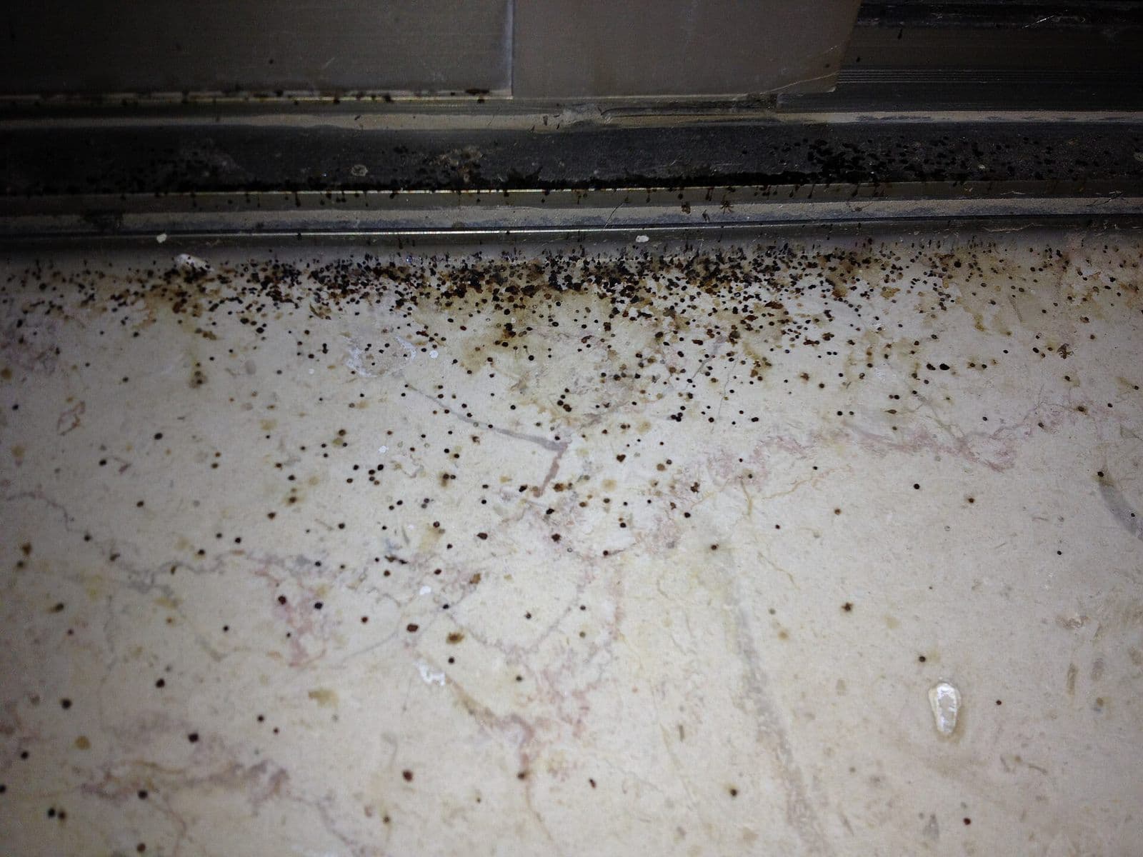Black mold spots on a white window sill below the window frame