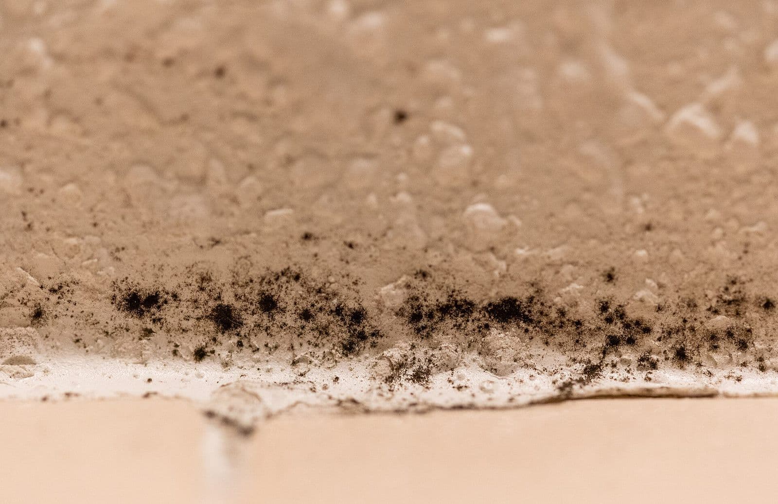Black mold spots growing along a damp bathroom shower surface